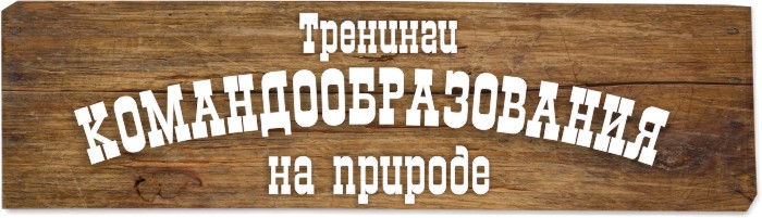 Тренинг командообразования или веревочный тренинг